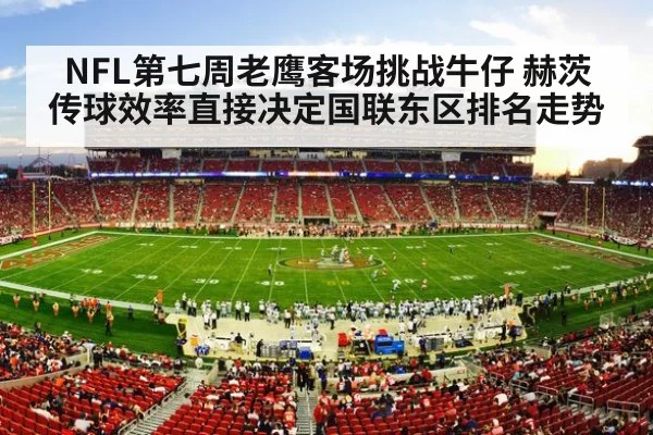 american football stadium crowd