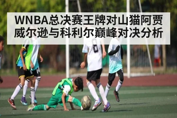 WNBA总决赛王牌对山猫阿贾威尔逊与科利尔巅峰对决分析
